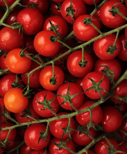Bryant Bros - Tomatoes